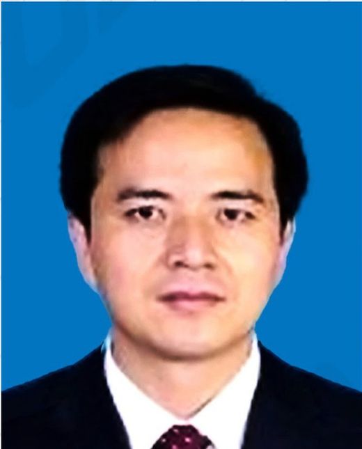 专家团队成员冯宝林肖像